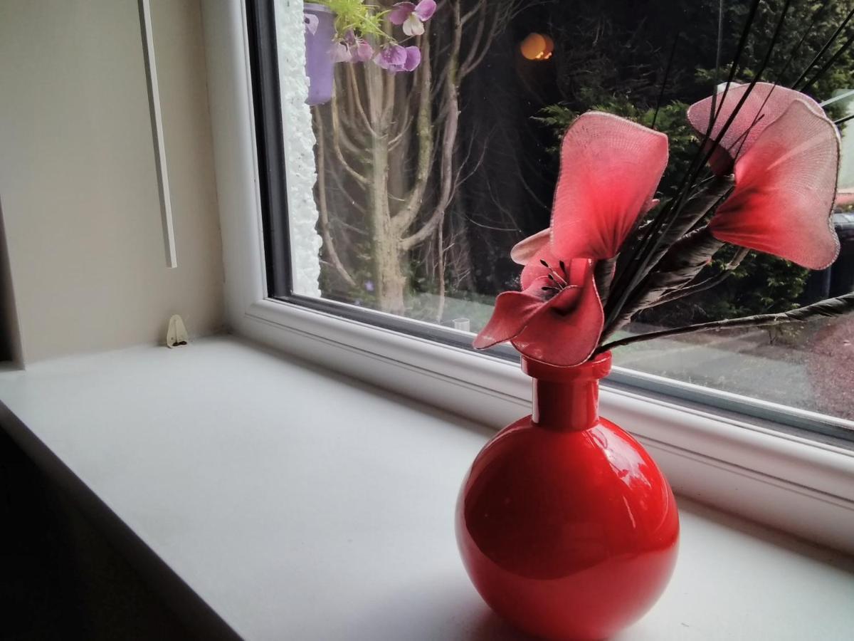 Windermere Studio Rooms - With Free Car Parking Onsite Luaran gambar